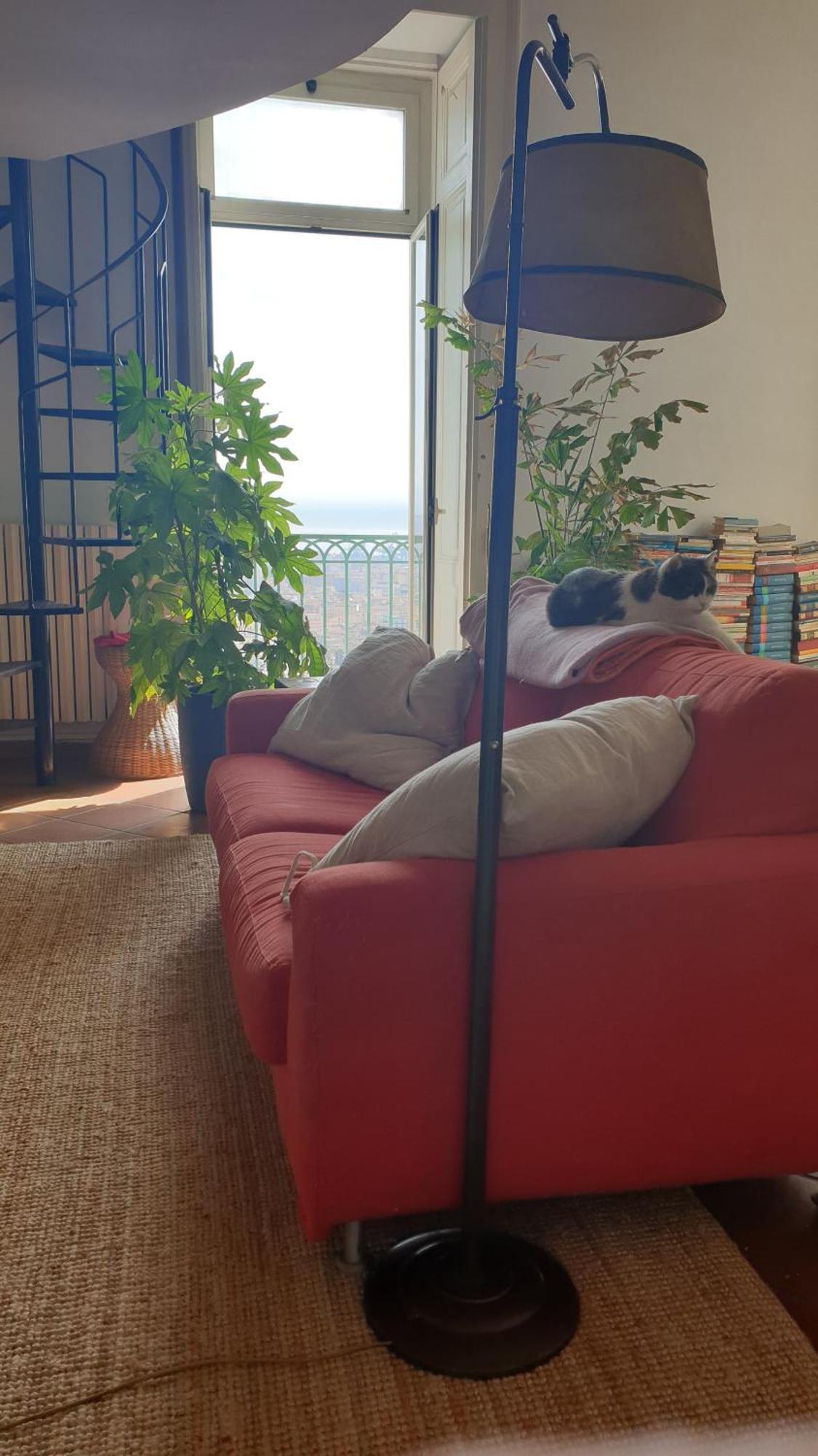 Risingsun Accommodatie bij particulieren *