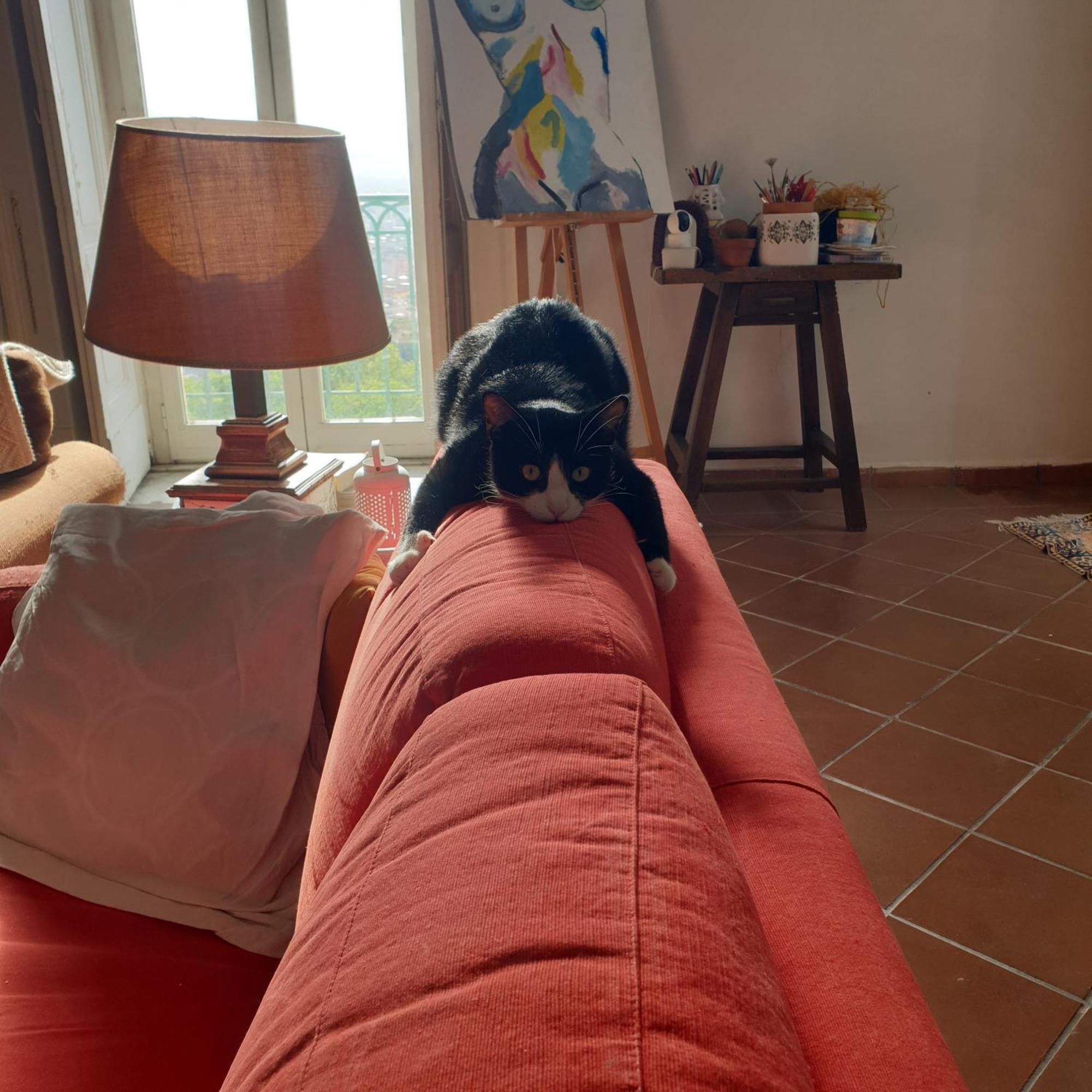 Accommodatie bij particulieren Risingsun *